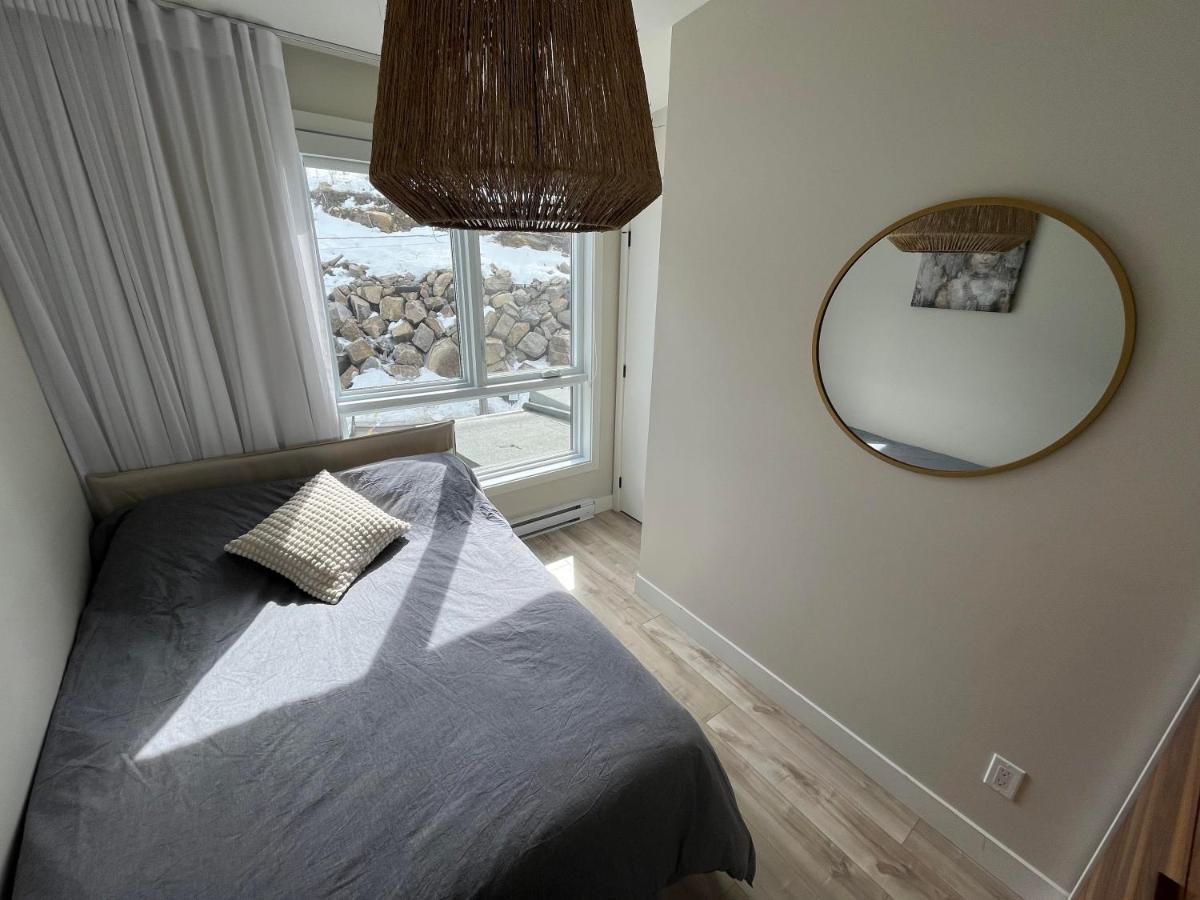 Le Riverain - Condo Neuf Au Bord De L'Eau Shawinigan Exterior photo